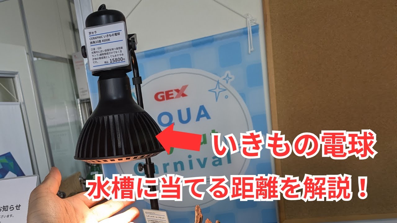 いきもの電球を水槽に当てる距離の話