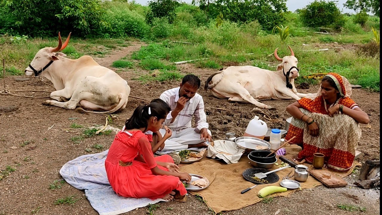 दुधी भोपळ्याचे धिरडे,dudhi bhoplyache dhirde, gavakadchi VAT