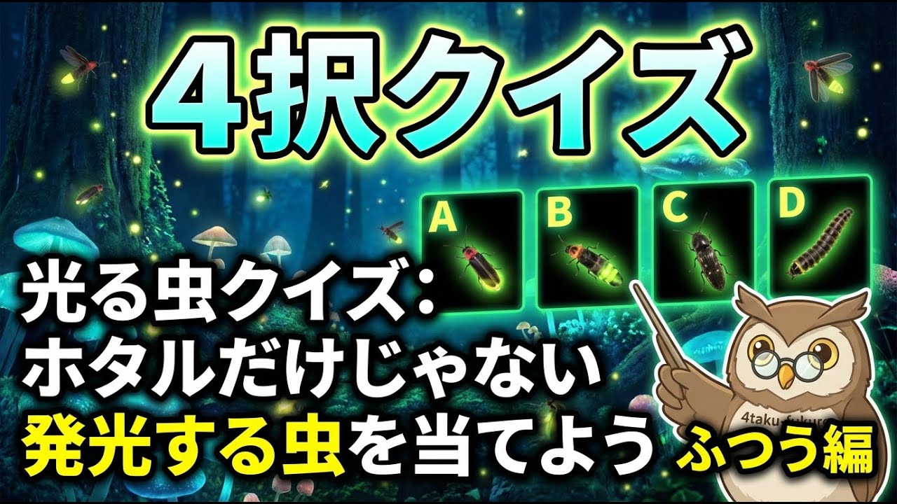 理科好きが唸る光る虫！ 【光る虫クイズ】ホタルだけじゃない 発光する虫を当てよう ふつう編 #クイズ #雑学 #昆虫