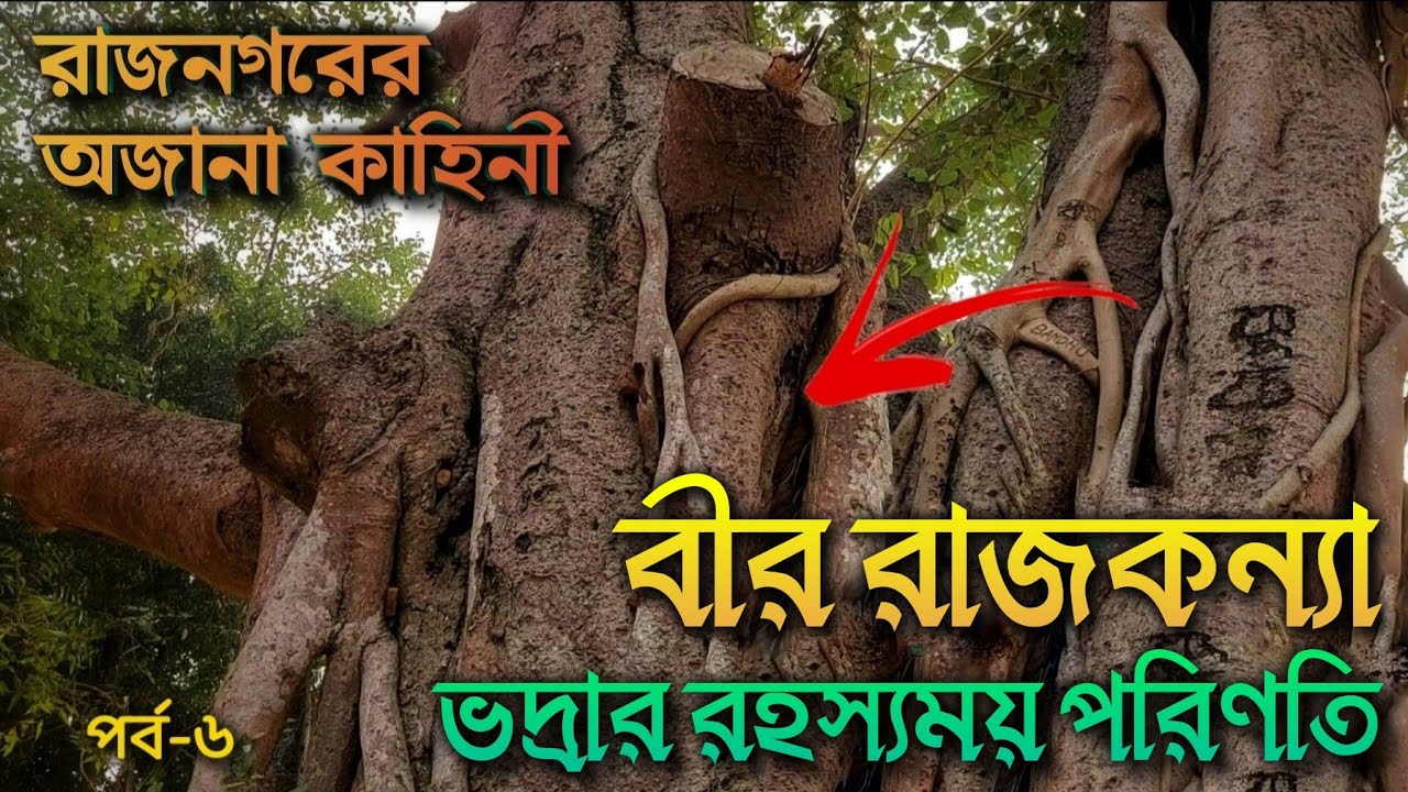 বীর রাজকন্যা ভদ্রার রহস্যময় শেষ পরিণতি || The mysterious end of Princess Bhadra || Rajnagar, Birbhum