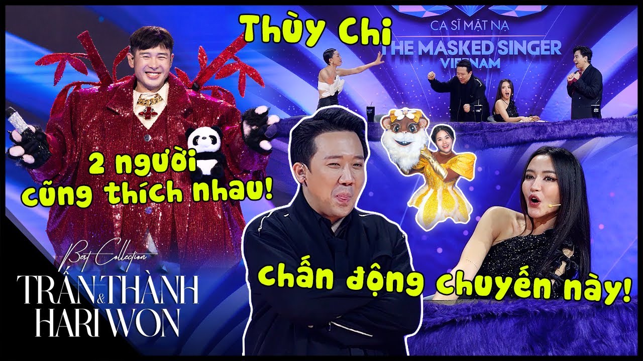 Bố Gấu Hoàng Hải lộ diện, thừa nhận tình cảm với Tí Nâu Thùy Chi khiến ban cố vấn SHOCK NẶNG
