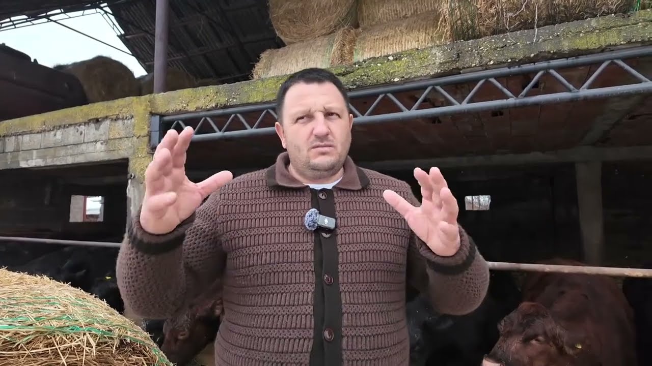 PETORO DECE, ANGUS GOVEDA I FARMA IZ SNOVA! Porodica Milanov iz Kovilja
