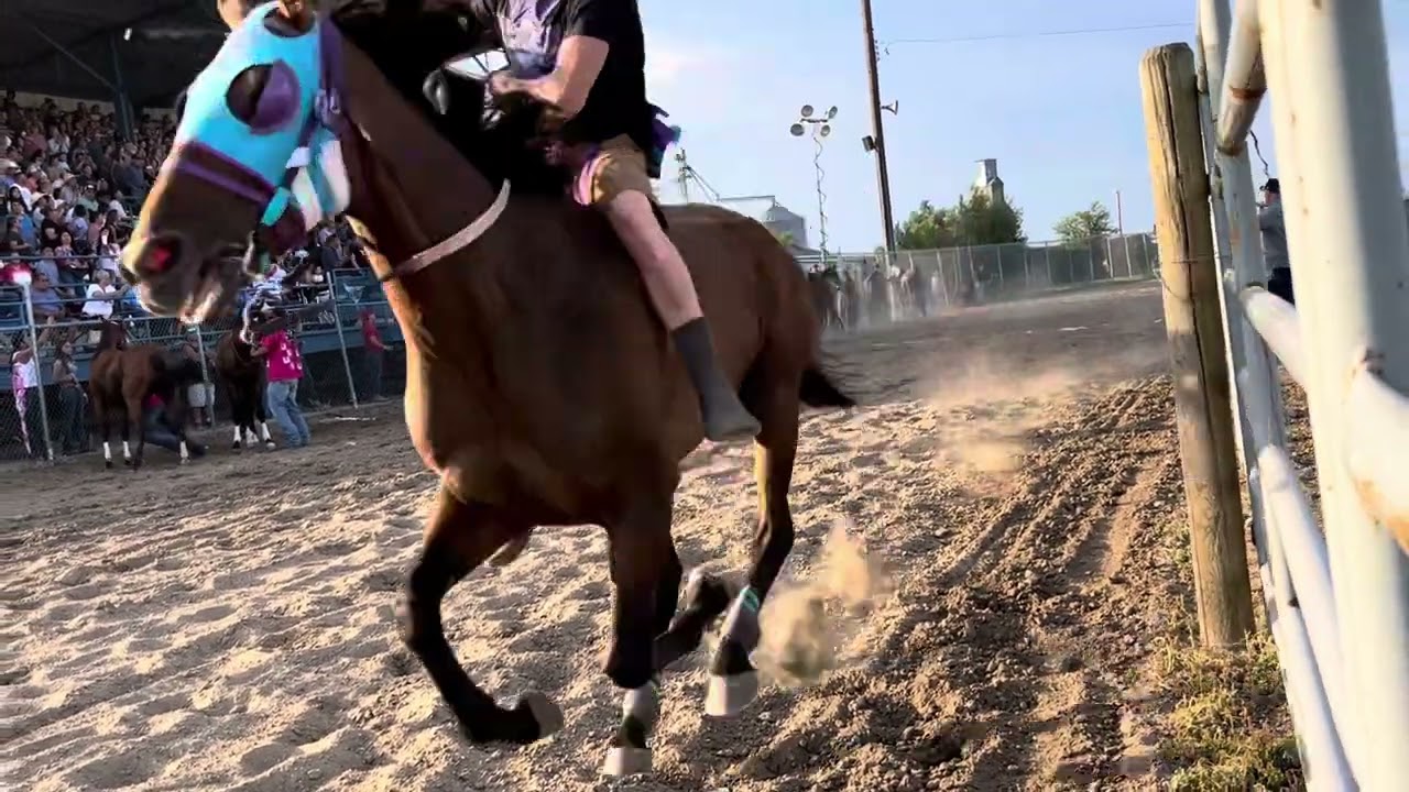 2025 Hardin, Mt Bighorn Co. Fair Indian Relays  Day 1 1st Place 