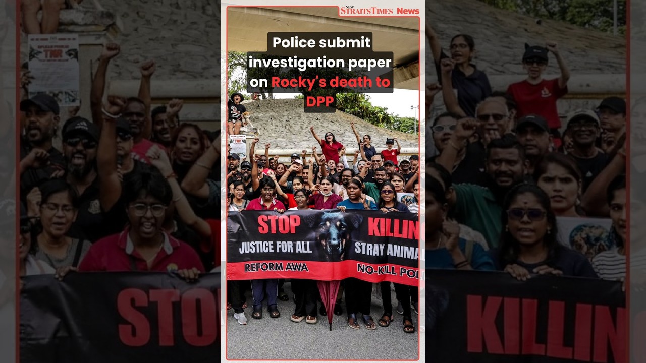 Police submit investigation paper on Rocky's death to DPP