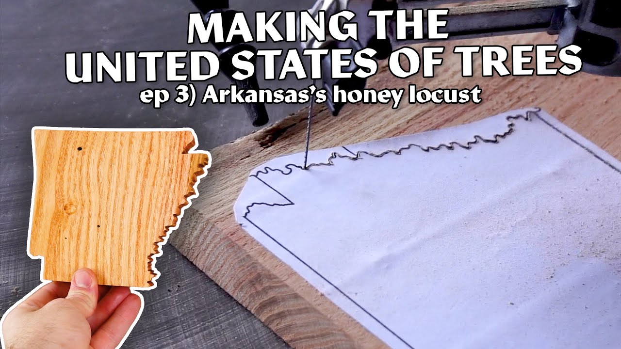 Arkansas's Honey Locust | Making the United States out of Native Trees