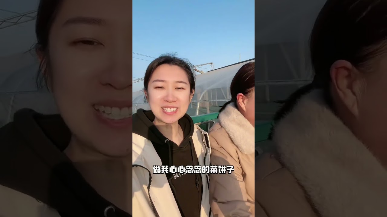 想吃菜饼子了，但没想到菜饼子不是一天就能做好的。意外收获在奶奶家吃了顿饺子。大家都在猜肚子里的宝宝是男孩还是女孩#日常vlog #记录真实生活 #菜饼子 #美食 #怀孕 @DOU+小助手 @抖音创作