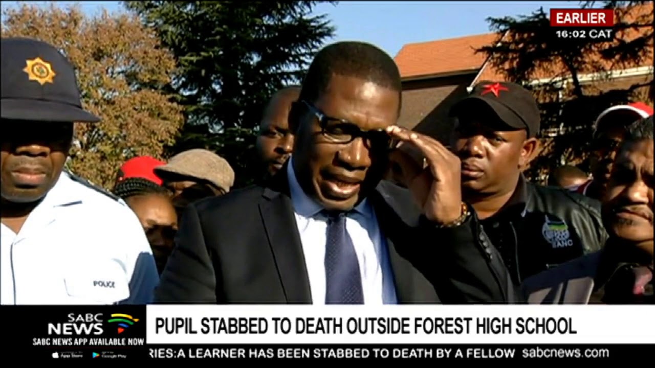 Pupil stabbed to death outside Forest High School