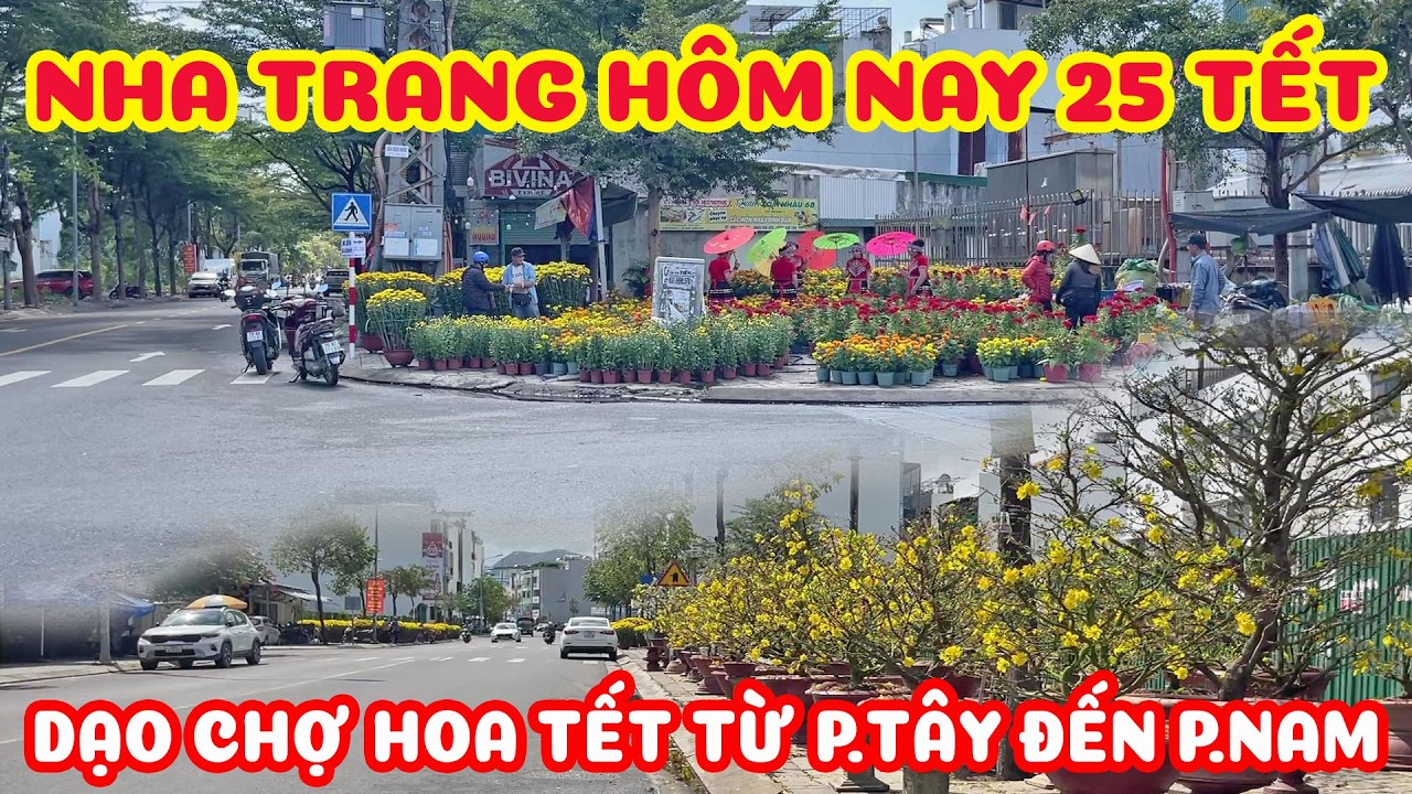 NHA TRANG HÔM NAY 25 TẾT - DẠO NHỮNG CON ĐƯỜNG BÁN HOA TỪ PHƯỜNG TÂY ĐẾN PHƯỜNG NAM NHA TRANG