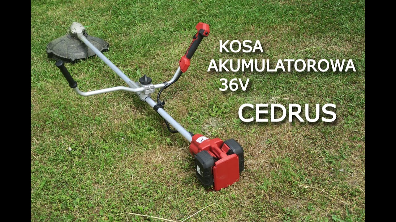 Аккумуляторная коса Cedrus 36V - Как долго вы можете косить - Преимущества и недостатки - ТЕСТ Обзор
