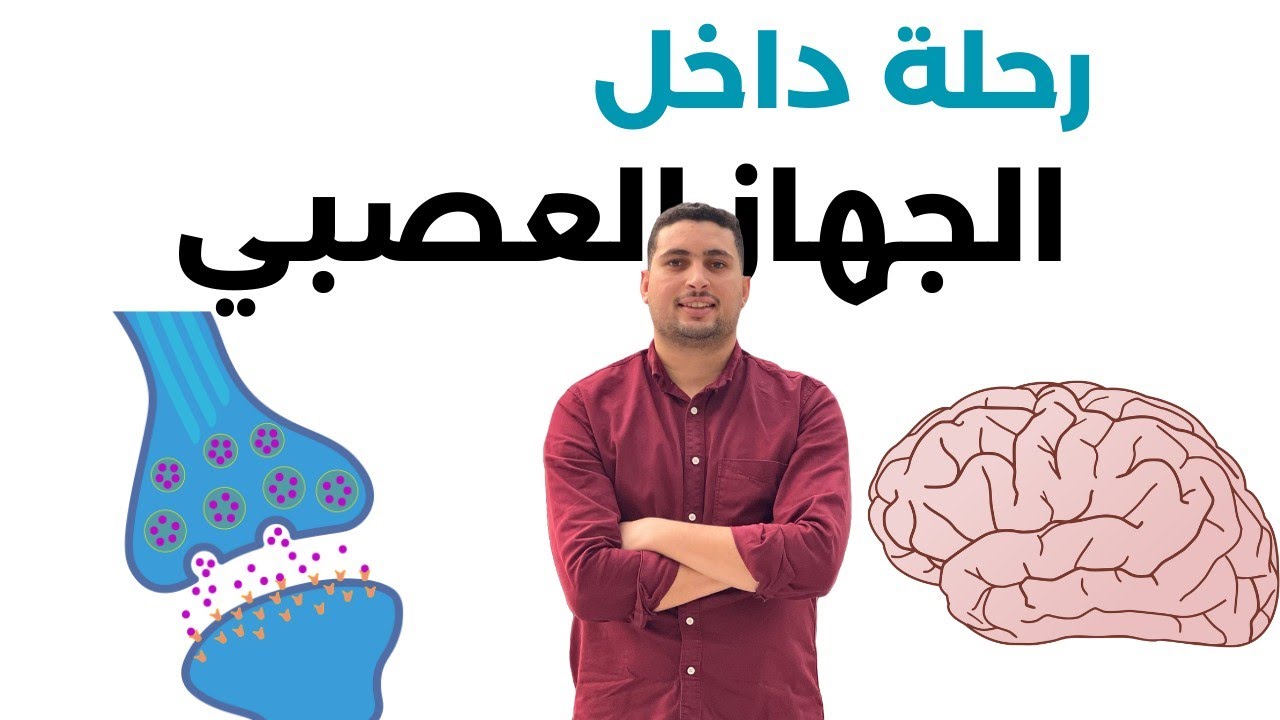 افهم وغذي بصرك: الجهاز العصبي وكيف تعمل عقولنا؟ 🧠 - علوم متكاملة / أحياء ثانوية عامة 2026