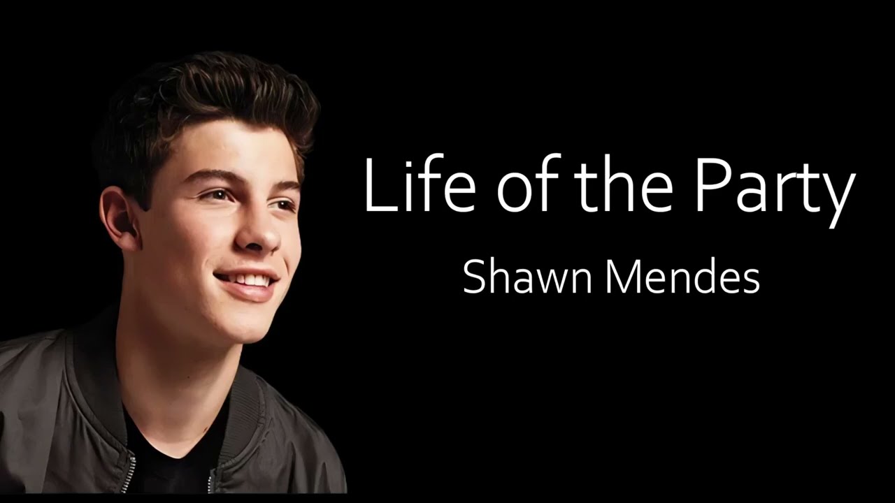 Shawn Mendes - Life of the Party (Lyrics)