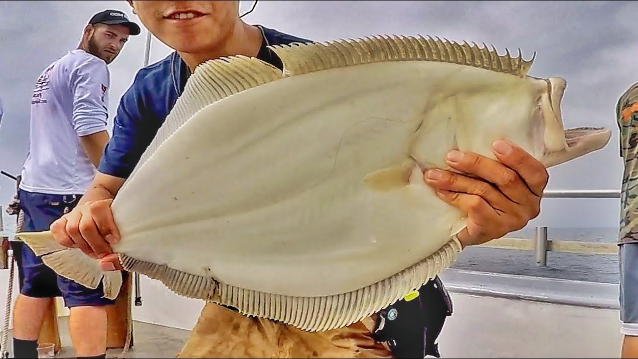 Fluke Fishing NJ - Jumbo Party Boat Summer Flounder Fishing 2019