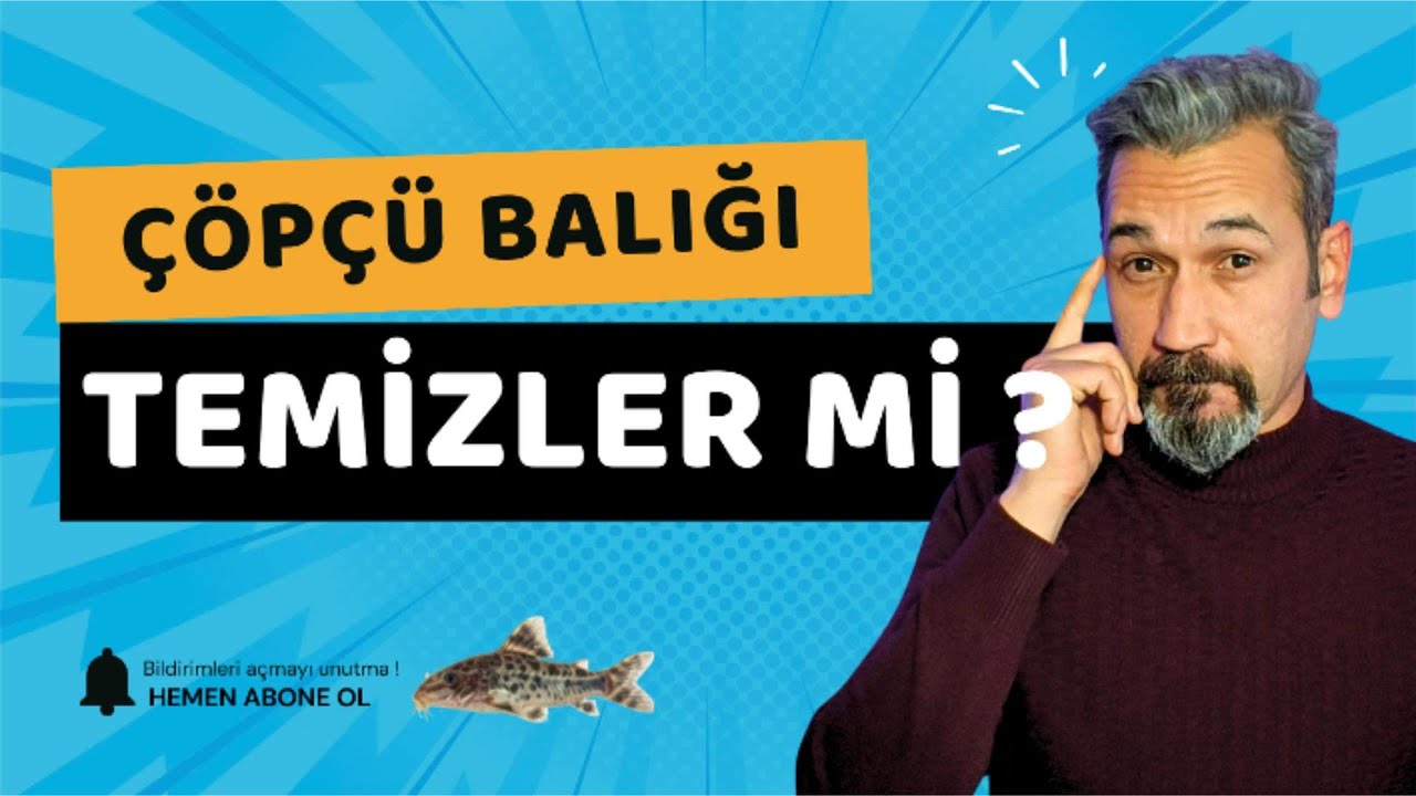 Çöpçü Balığı Gerçekten Çöpçü mü? | Corydoras Gerçeği