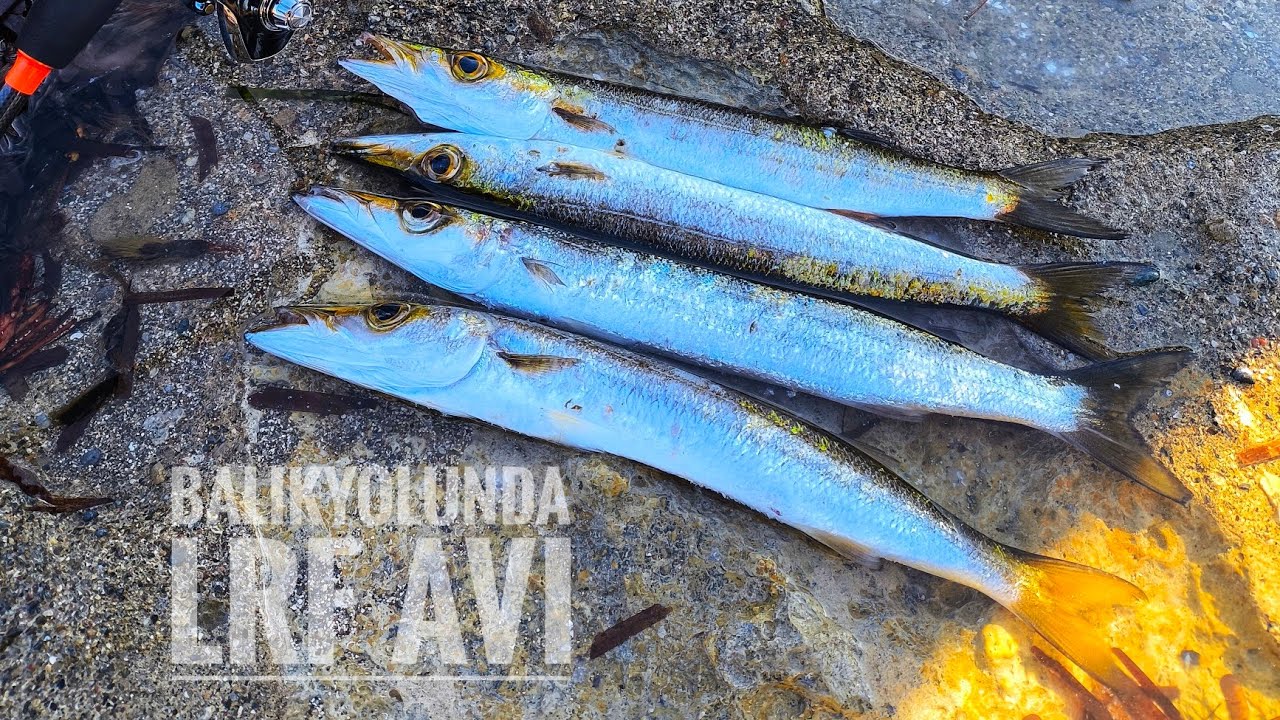 AT-ÇEK BALIK AVI . SAHTE PARÇALAYAN BALIKLAR . LRF İLE FIRTINADA BALIĞI BULDUK . #fishing #vlog