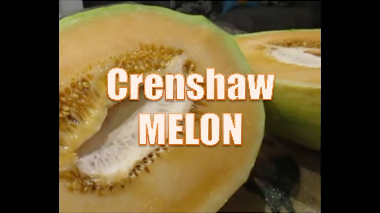 Unusual food # 47 Crenshaw Melon