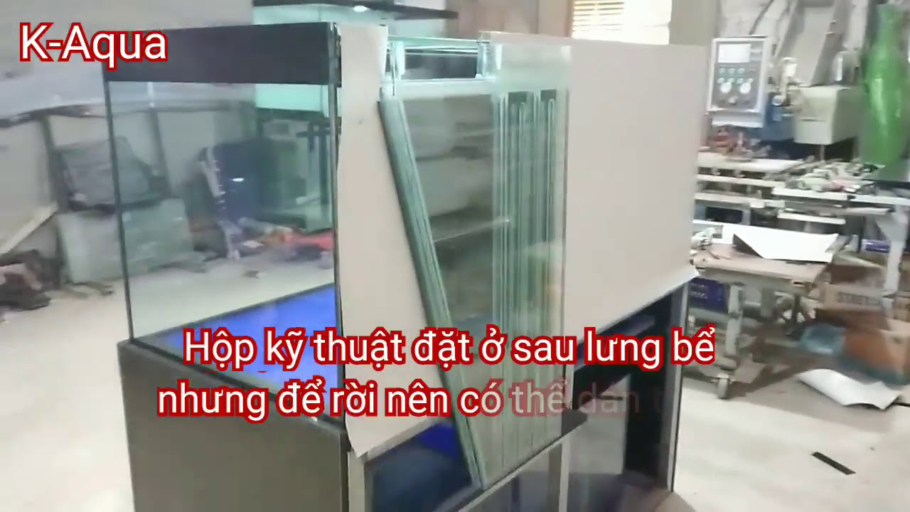 hồ công nghệ ngắm cá ba mặt