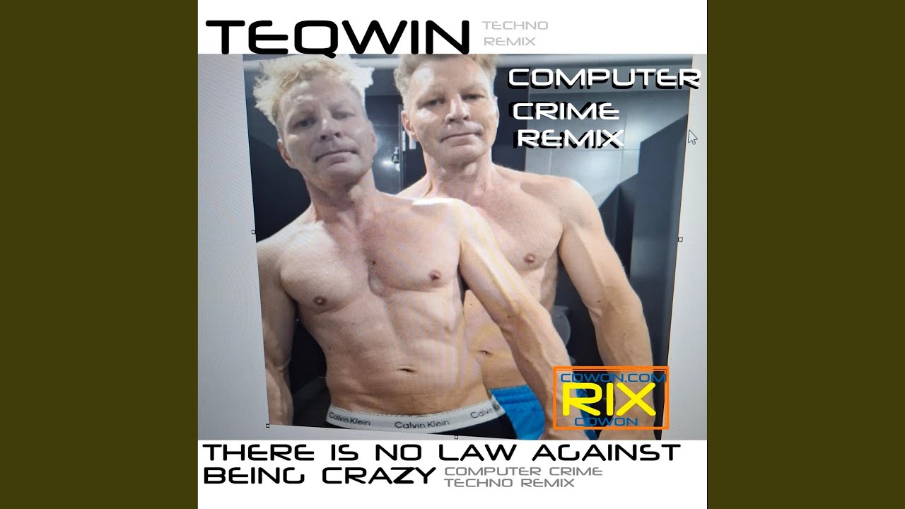 There's No LAW Against Being CRAZY (Computer Crime TECHNO Remix)