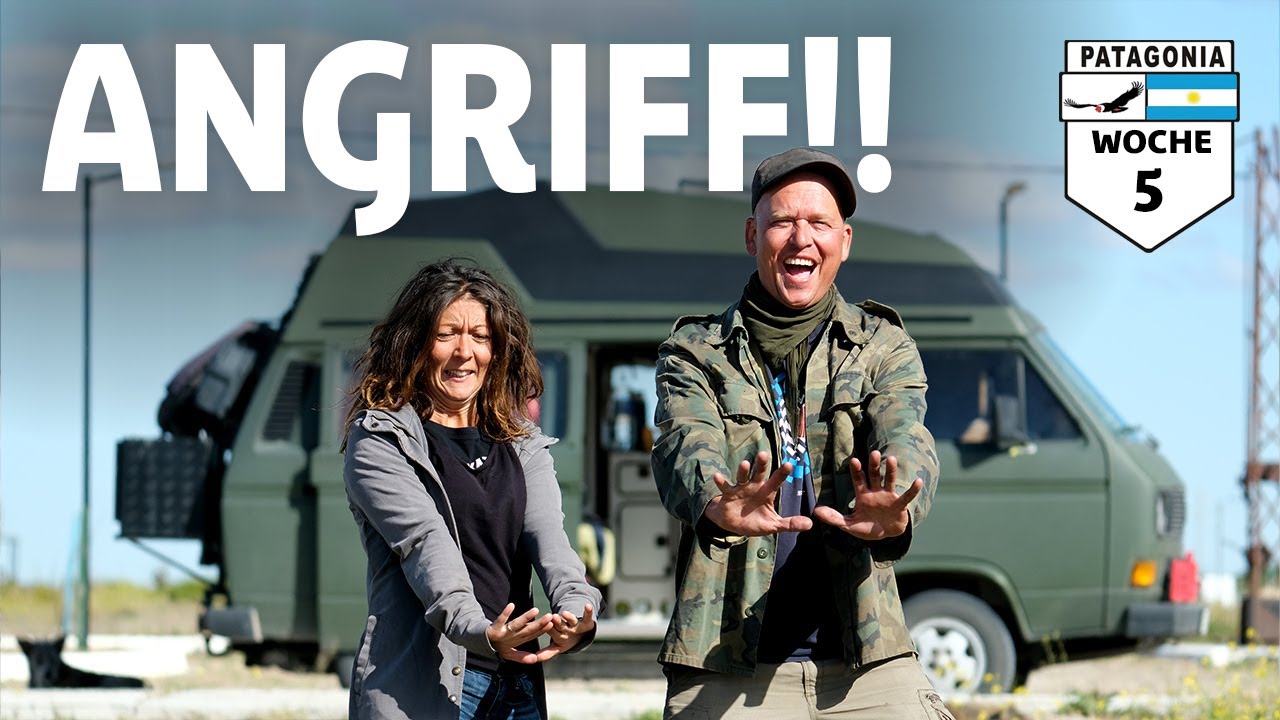 Wir werden angegriffen!! #overlanding #southamerica #vwt3