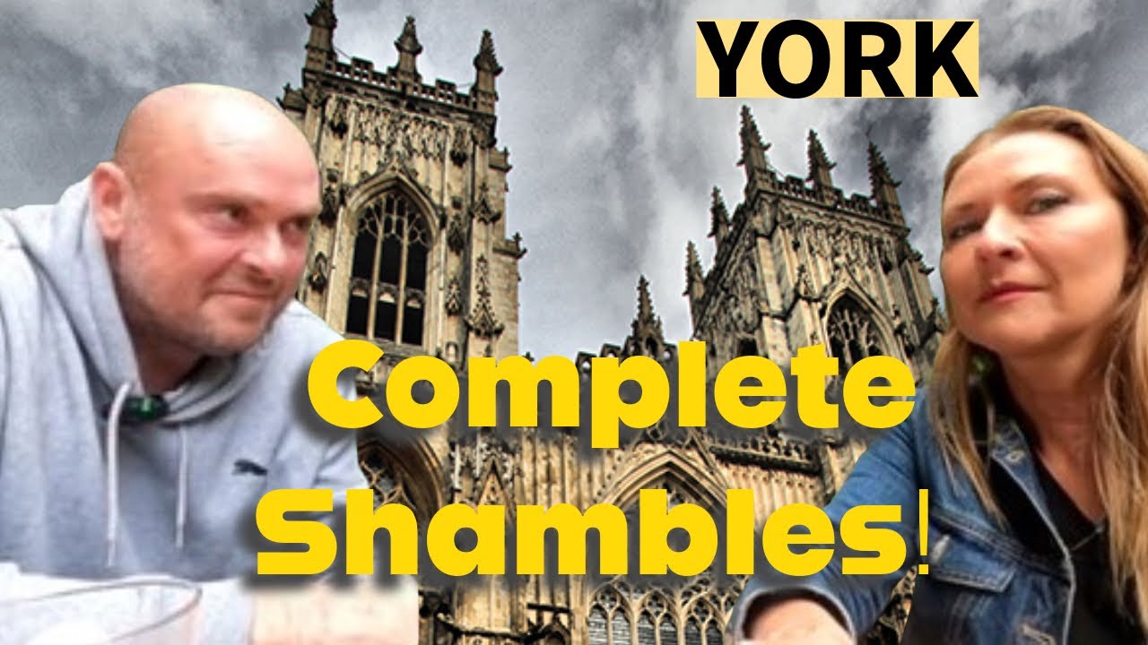 Camping in YORK with a dog | Where to go and what to do | Campervan | Shambles