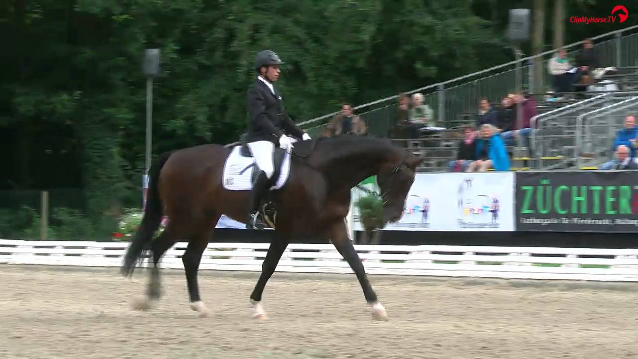 Bundeschampion 2015: 5-j. Dressurpferde: Smirnoff