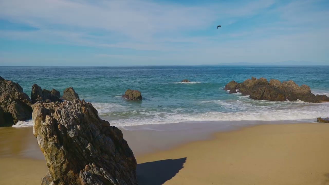 Waves