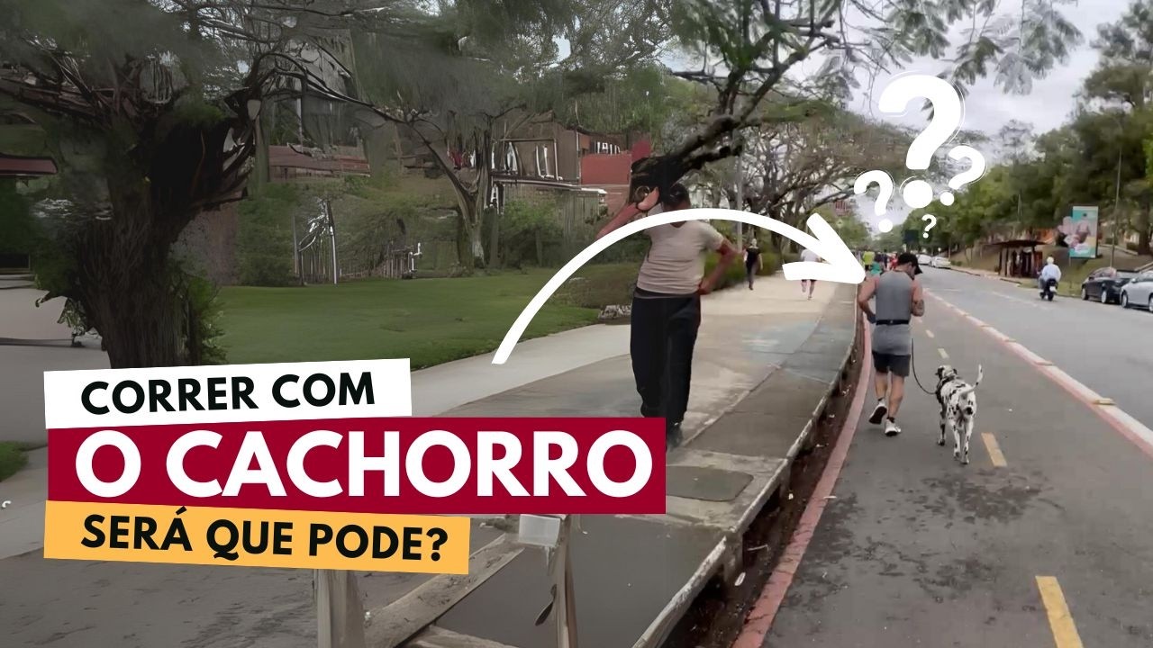 Corrida com o Cachorro: veja esse vídeo antes de fazer isso com o seu cão.