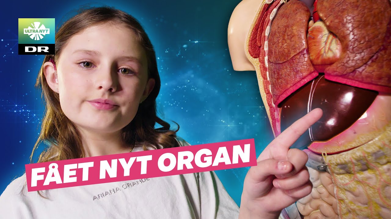 Esther blev REDDET af nyt organ
