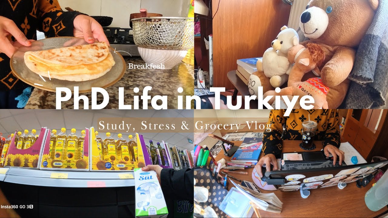 STUDY VLOG | PhD Life in Turkey Isn’t Always Aesthetic | Study Routine, Stress & Grocery Shopping