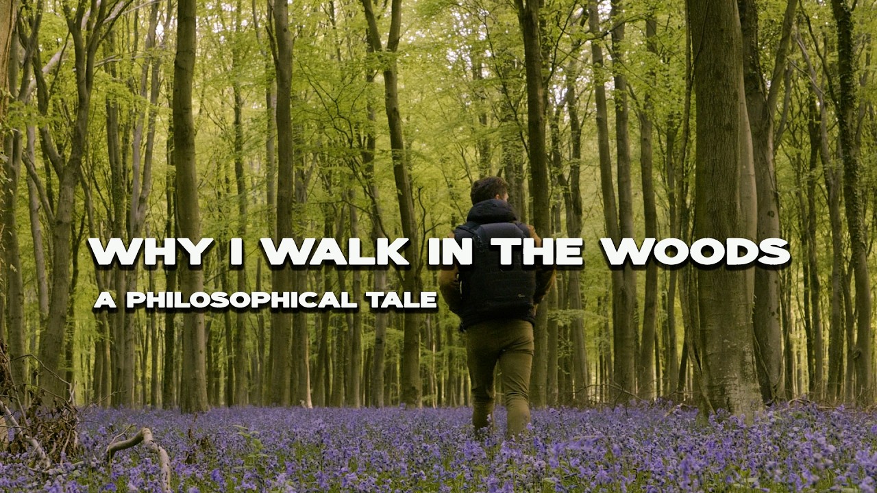 Why I Walk in the Woods | A Cinematic Reflection on Nature & Fatherhood