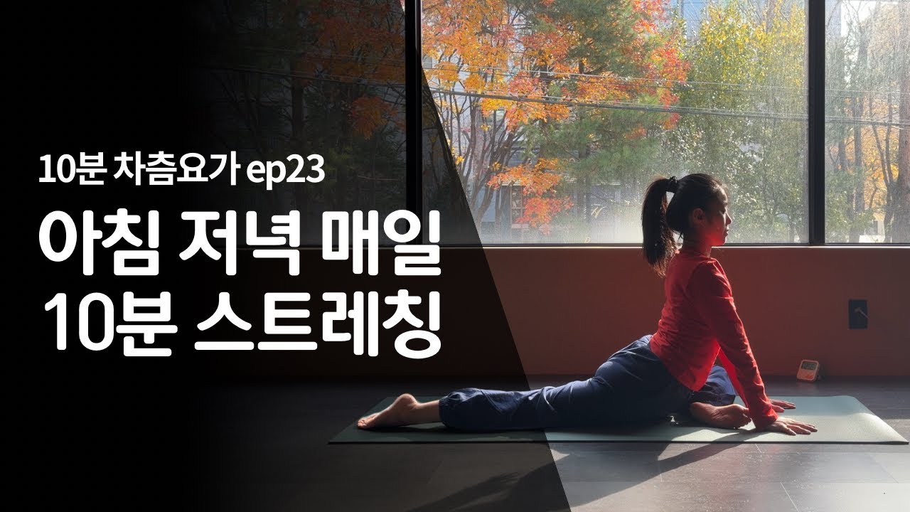 [10분 차츰요가] ep.23 아침 저녁 매일 수련하기 좋은 10분 요가 스트레칭