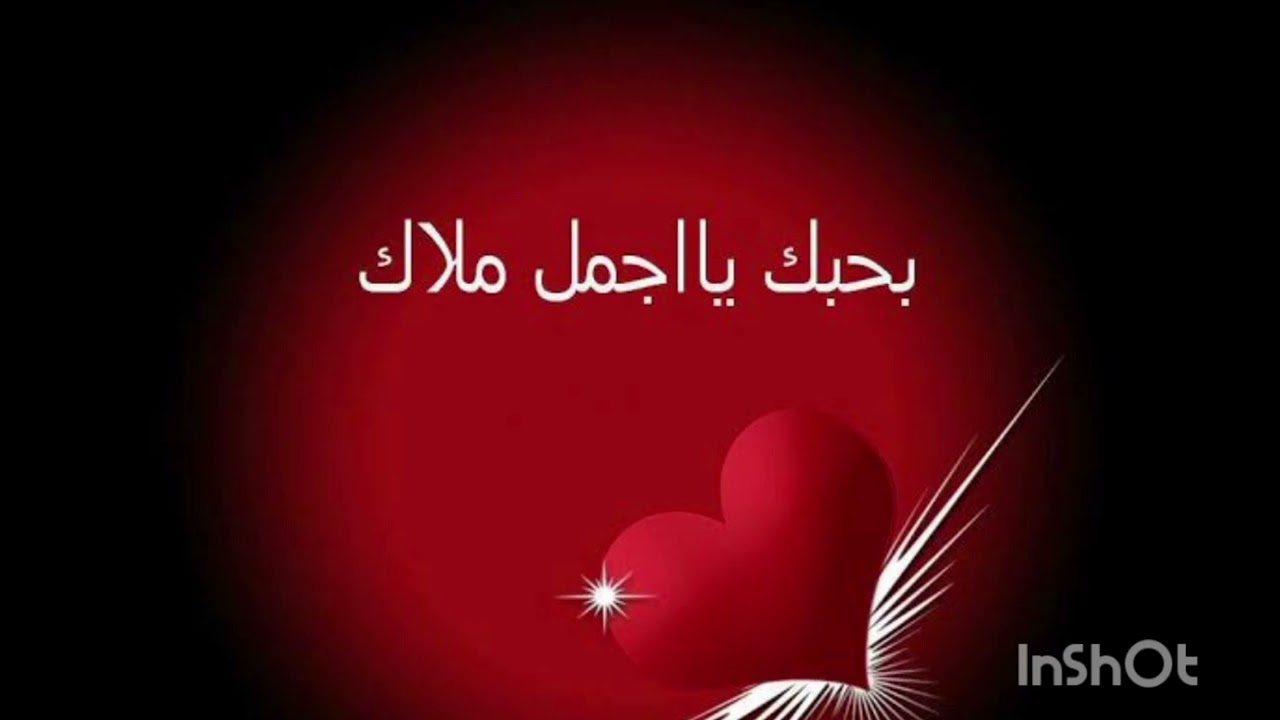 حال الهارب وسبب الاستيقاظ صدمته في المطارد ⁉️🤔 ورجوعه #توأم_شعلة