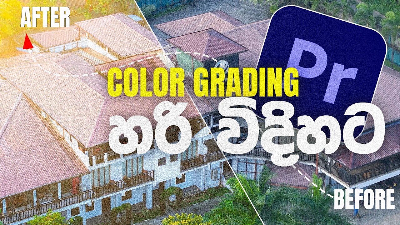 D-Log M Color Grading in adobe premiere pro 2025 | Sinhala Tutorial