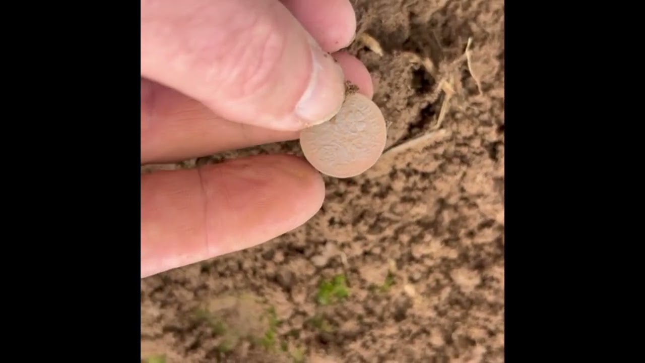  Coin Fest ! Metal detecting in Wales! 