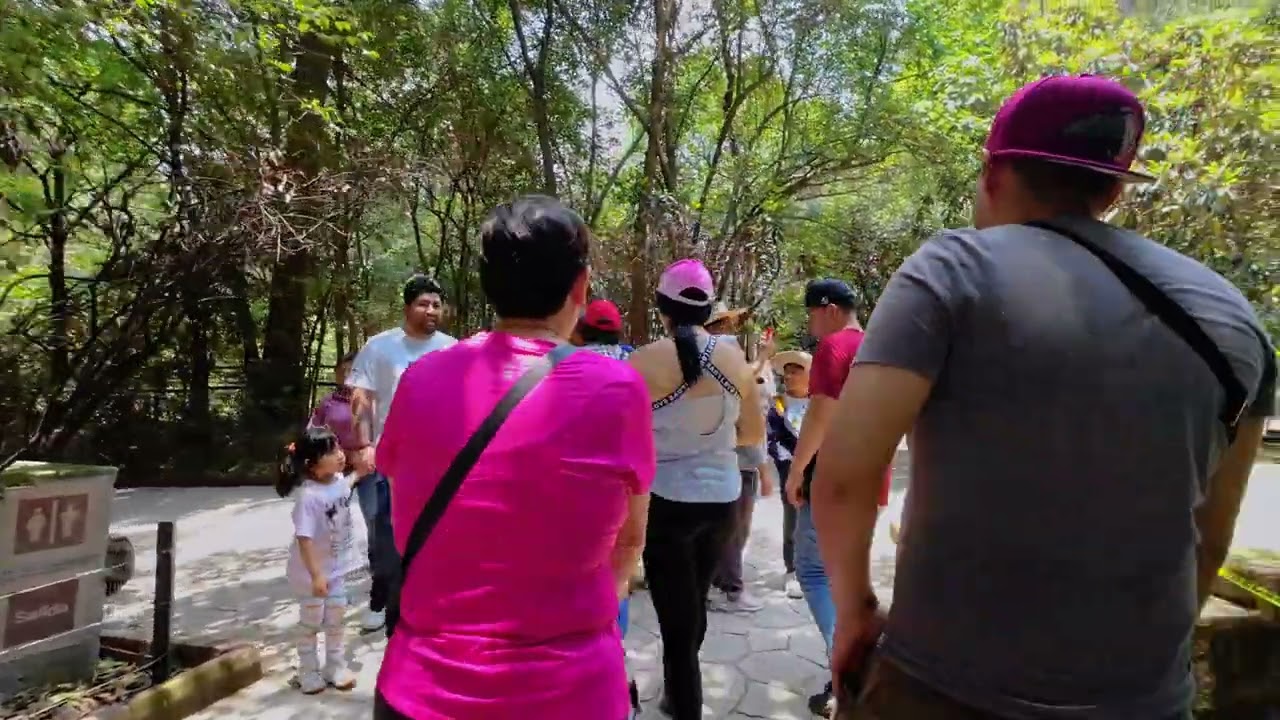 Chapultepec Zoo | Mexico City | 4k Walking tour at chapultepec zoo