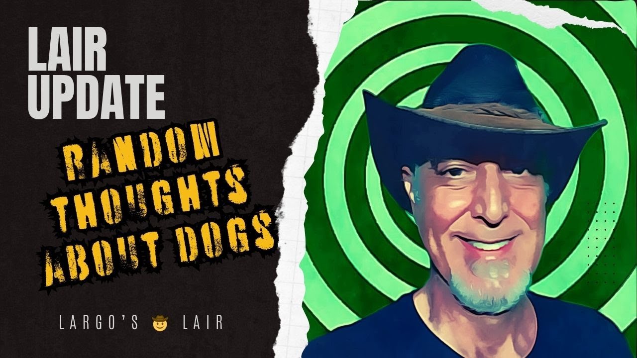 Lair Update: Doggos