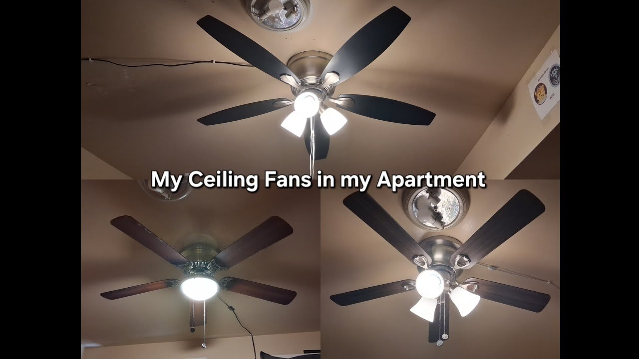 All 3 of my Ceiling Fans in my Apartment 