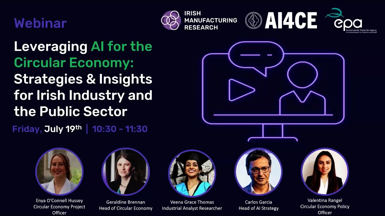 Leveraging AI for the Circular Economy: Strategies & Insights for Irish Industry and Public Sector.