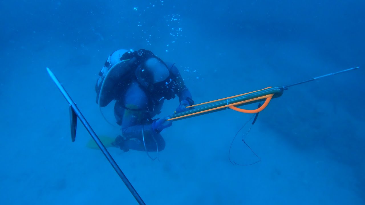 Spearfishing Ledges in 100' First Dive of the Year 2024