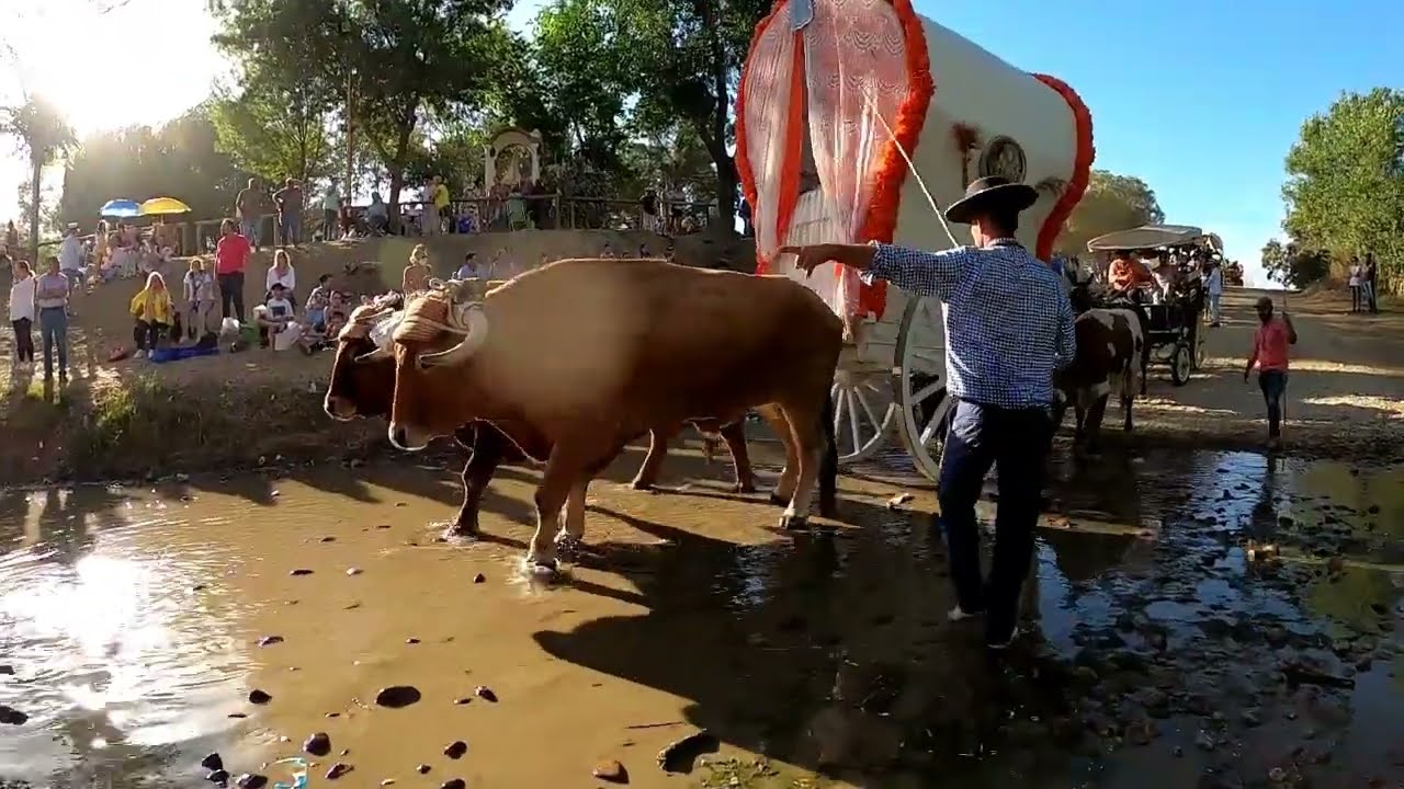 Roc&iacute;o 2022 Los Romeros Llegando Al R&iacute;o Quema.