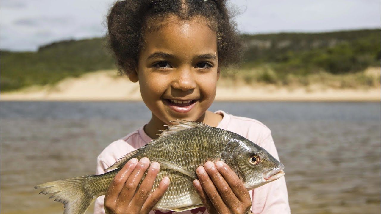 Is this the Best Fishing Spot on the Great Ocean Road? / Bream & Perch CATCH AND COOK