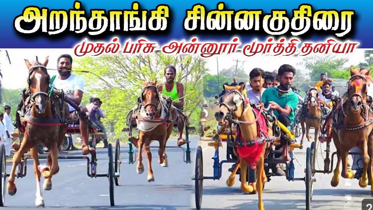அறந்தாங்கி சின்ன குதிரை 07/03/2026 #ksk_rekla_race