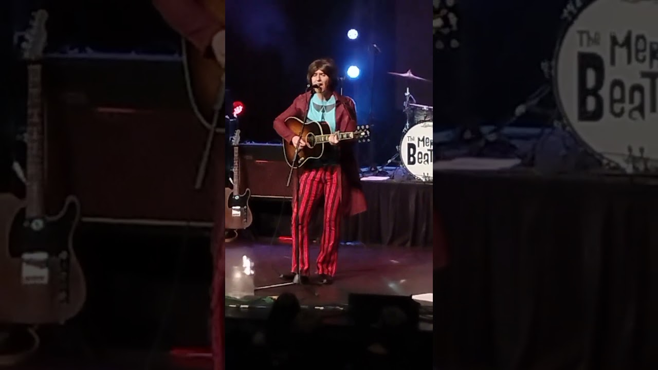 Guitar gently weeps(Mersey Beatles)😎