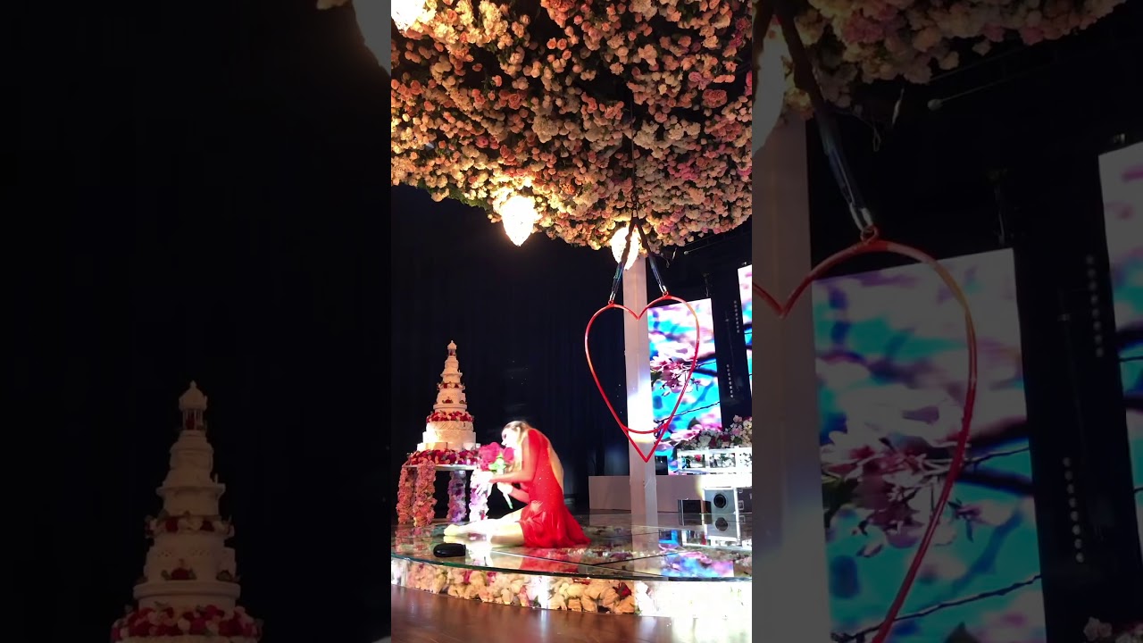 Beautiful Aerial Heart Performance by acrobat in Dubai