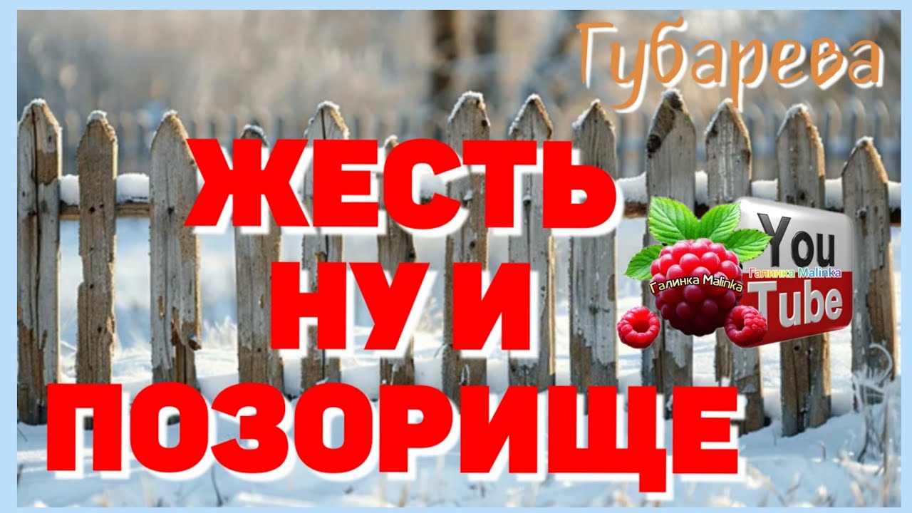 Губарева /Ну и позорище /Обзор /Наталья Губарева /Алиса Неземная /Одна в деревне из города в деревне