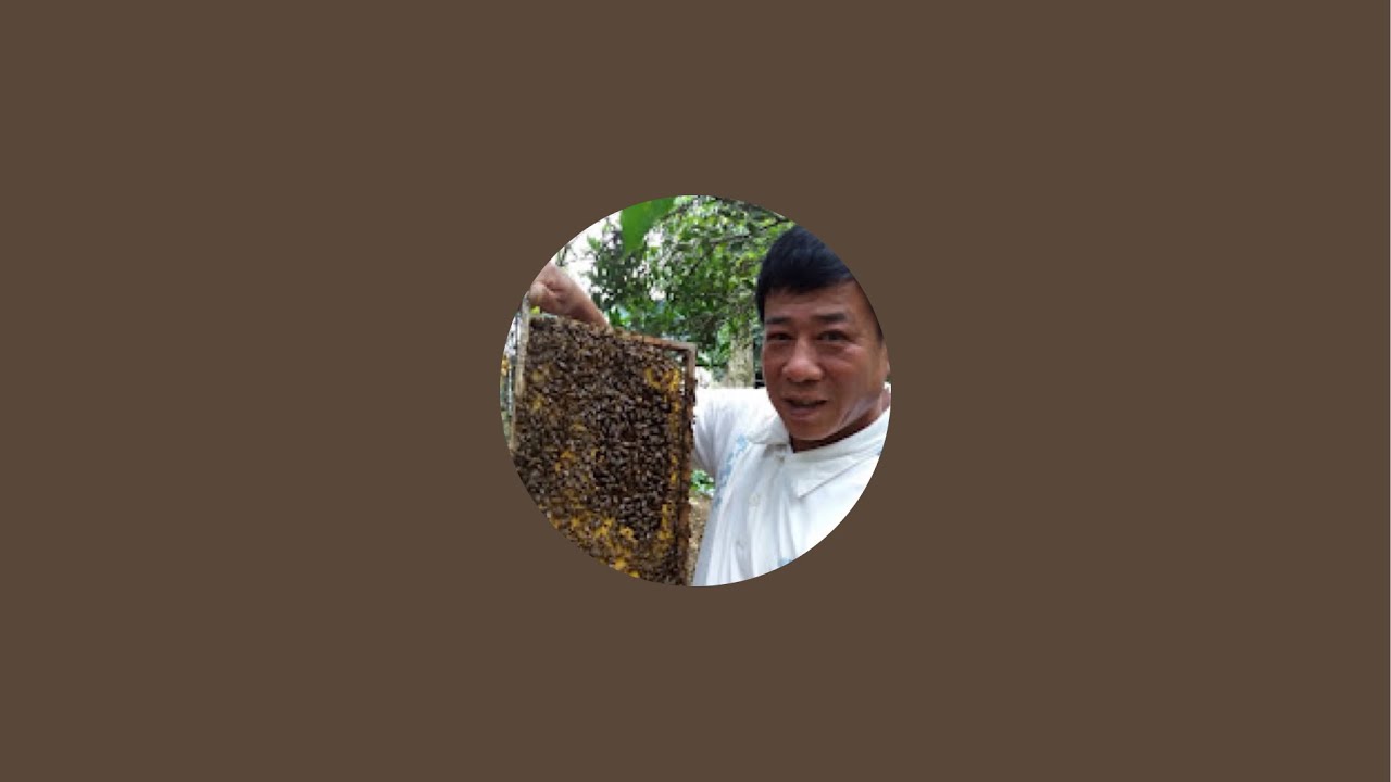 Kỹ thuật nuôi ong Tuấn Đỗ đang phát trực tiếp!