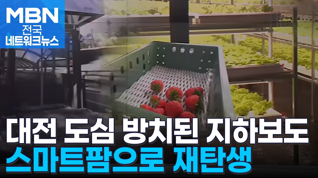 도심 속 방치된 지하보도…스마트팜으로 재탄생 [전국네트워크]