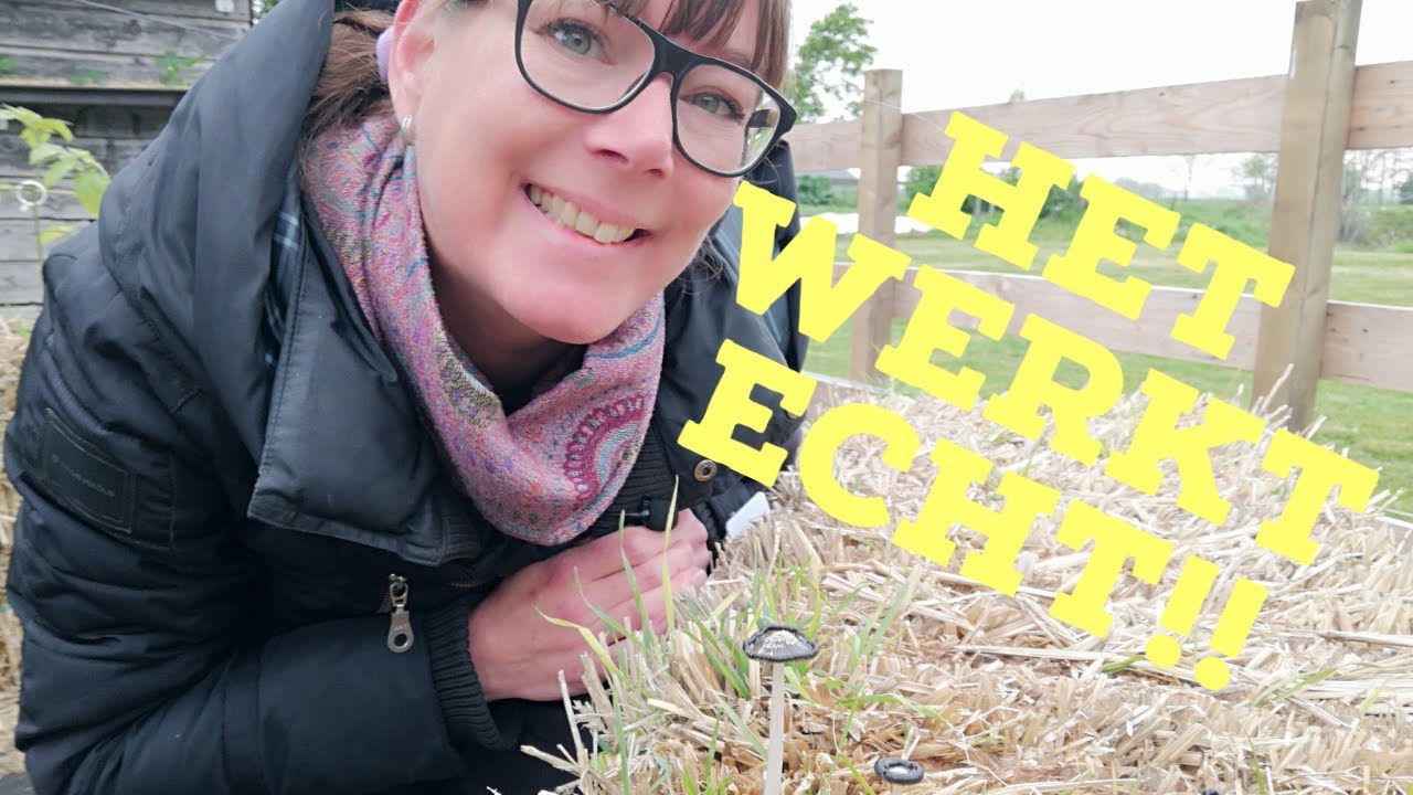 Conditioneren, hoe?! En een eerste update over mijn strobalen moestuin!