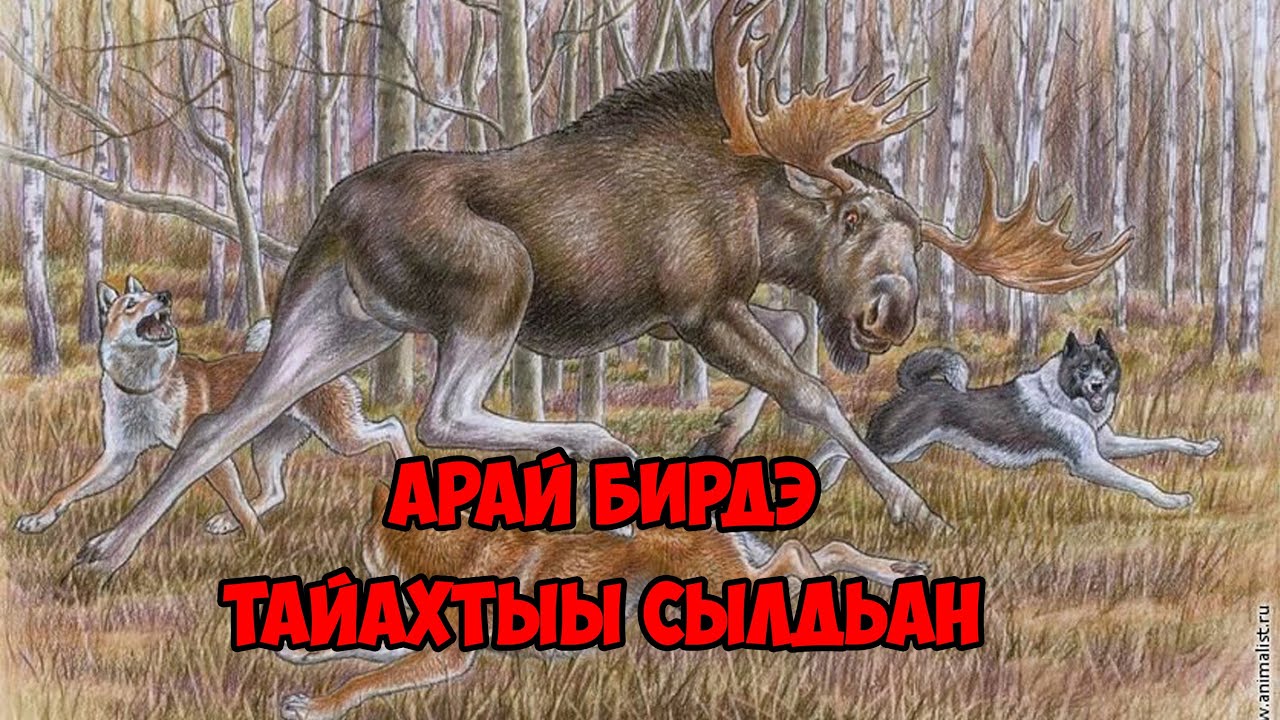 Арай биирдэ ТАЙАХТЫЫ СЫЛДЬАН