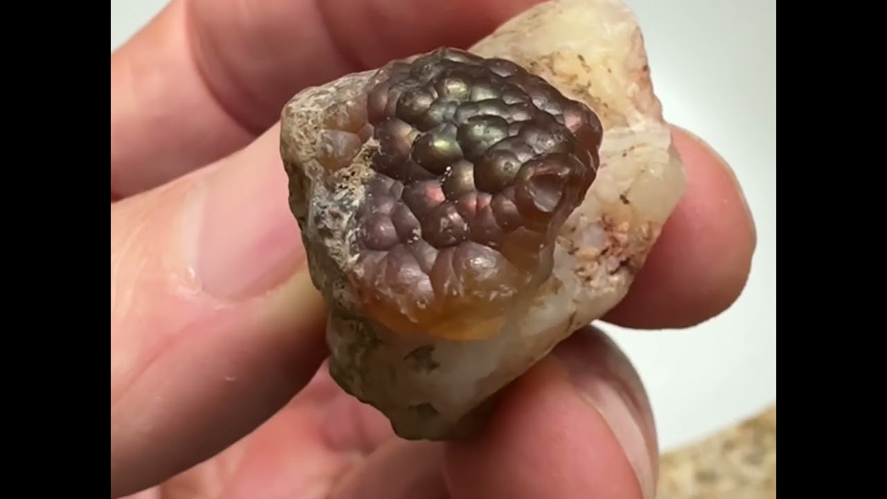 Поиск камней в Нью-Мексико! Охота за огненным агатом и уникальным халцедоном! #поисккамней #огнен...