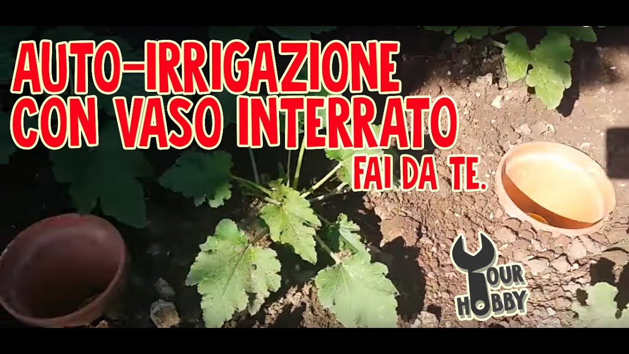 AUTO-IRRIGAZIONE CON VASO INTERRATO FAI DA TE.